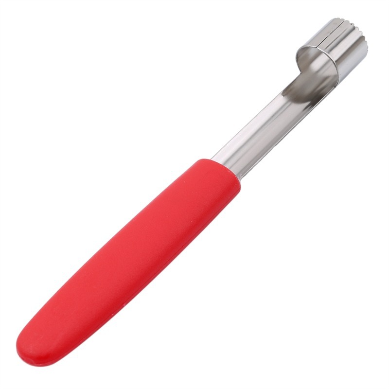 أداة إزالة بذور الفاكهة سهلة ا - مراجعة Kitchen Gadgets Kitchen وسعره