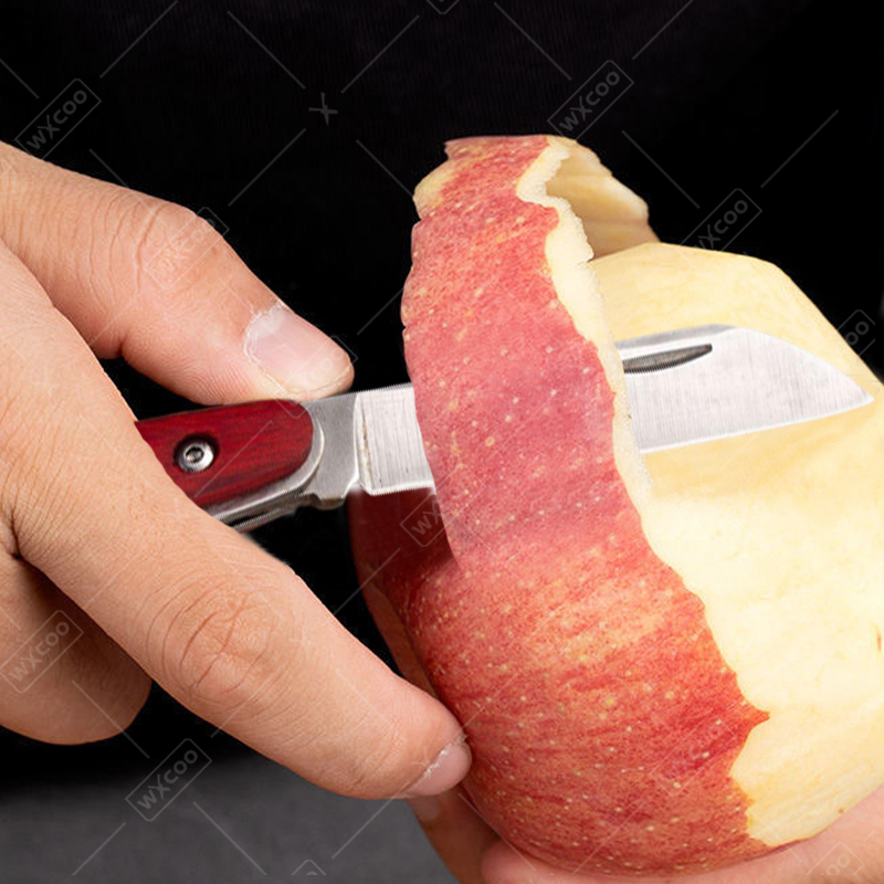 سكين جيب من الفولاذ المقاوم لل - مراجعة Kitchen Gadgets You Need وسعره